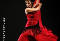 Flamenco Vivo - Flamenco Flamenco Vivo - Flamenco