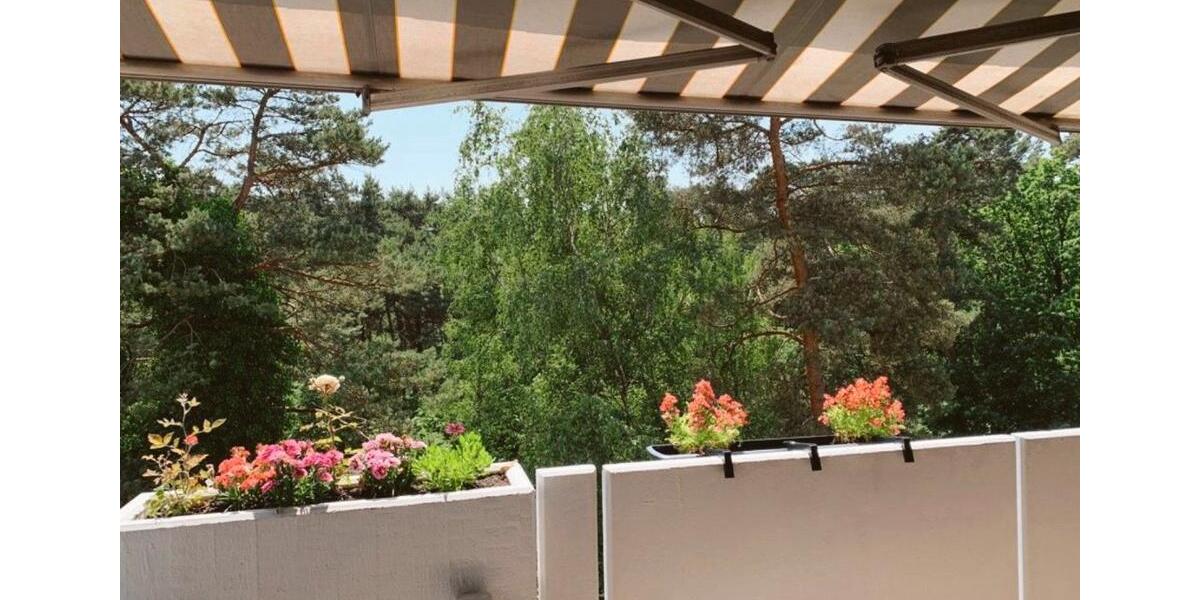 Ruhig gelegene 4-Zimmer Wohnung, Waldrand, Südausrichtung 4 zimmer