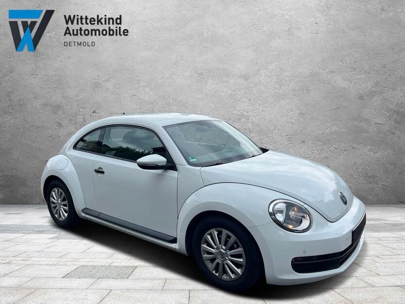 Beetle