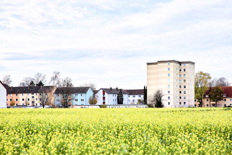 Etagenwohnung Bielefeld Senne - 3 Zimmer, 79 m&sup2;, 550&euro; | Angebot:25139016