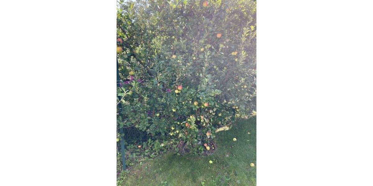 Reihenendhaus Bielefeld Gellershagen - 5 Zimmer, 90 m&sup2;, 269.500&euro; | Angebot:23982864