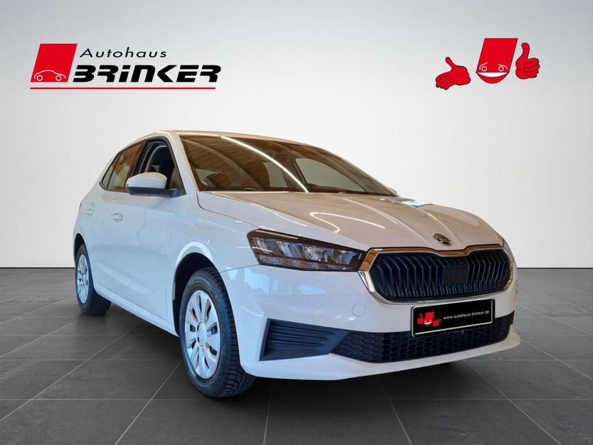 Skoda Fabia 44.140 km 13.430 € Bielefeld 33649