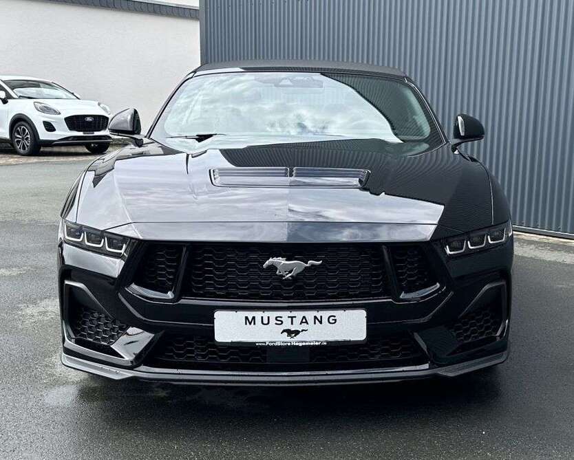 Mustang