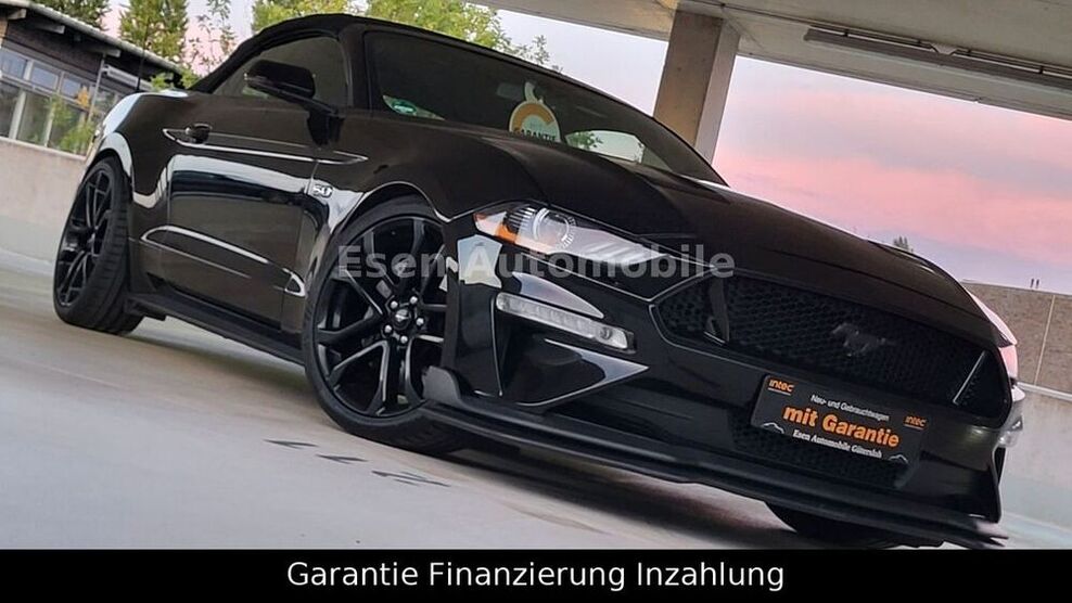 Mustang