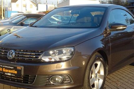 VW Eos