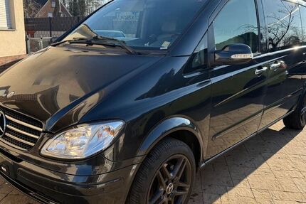 Mercedes Viano