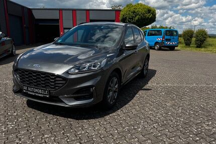 Ford Kuga 25.000 km 19.900 &euro; Lage OT Heiden 32791