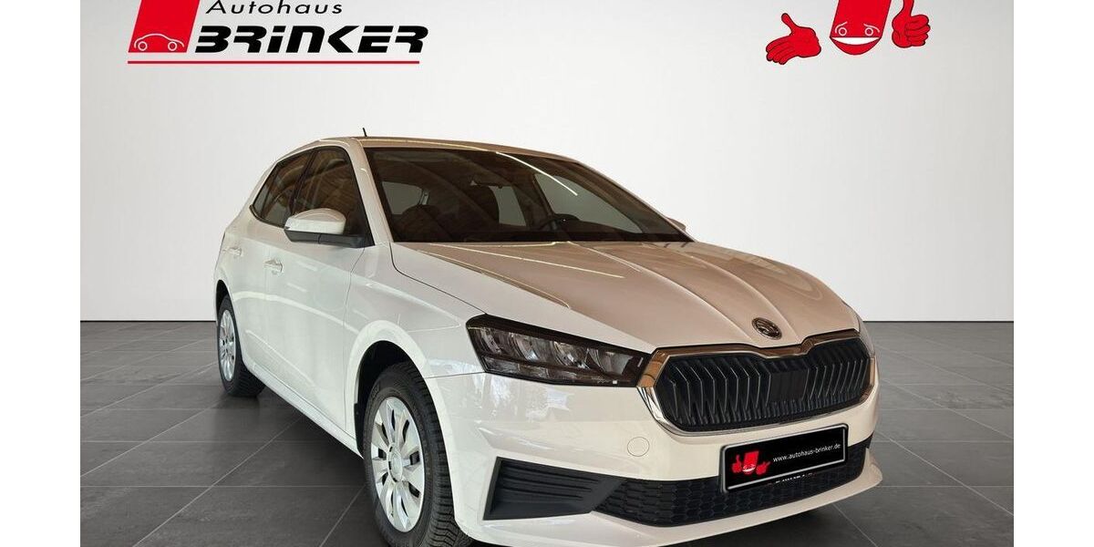 Skoda Fabia 45.577 km 11.430 &euro; Bielefeld 33649