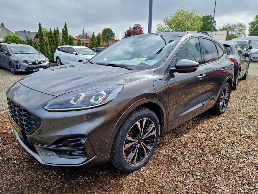 Kuga