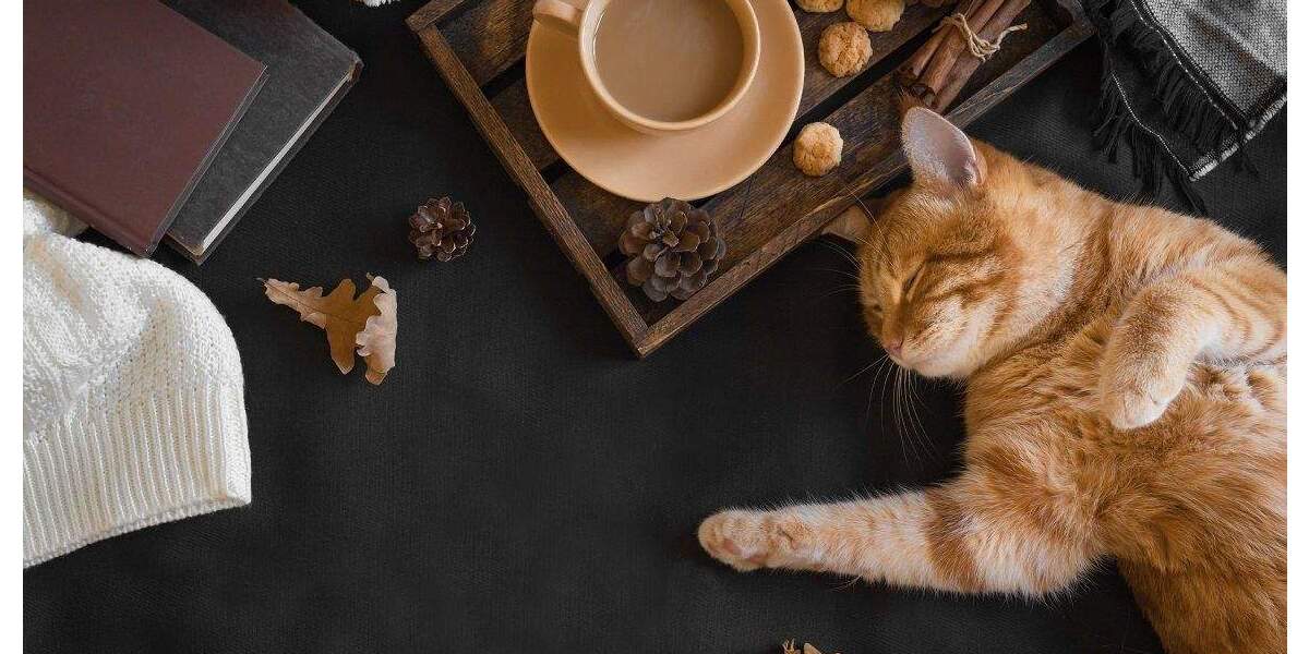 Einfamilienhaus Delbrück - 5 Zimmer, 130 m&sup2;, 350.000&euro; | Angebot:25683510