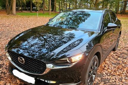 Mazda CX-30 16.000 km 24.300 &euro; Delbrück 33129