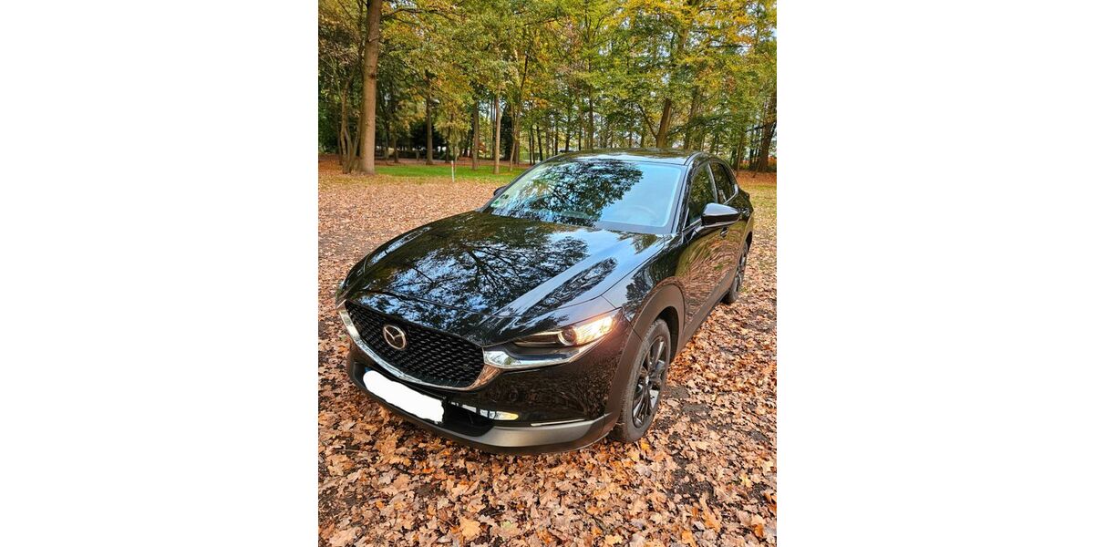 Mazda CX-30 16.000 km 24.300 &euro; Delbrück 33129