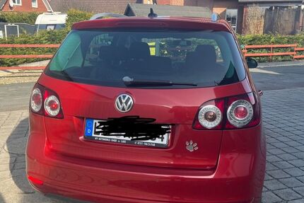 VW Golf Plus 96.600 km 6.500 &euro; Detmold 32758