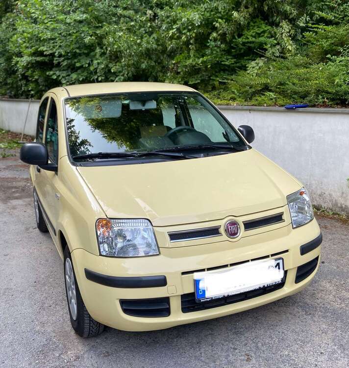 Panda
