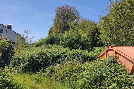 Grundstück Halle / Künsebeck Künsebeck - 295.000&euro; | Angebot:26488535