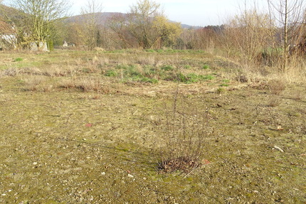 Sackgassenlage! Baugrundstück in Bad Oeynhausen-Wulferdingsen - Grundstück Bad Oeynhausen Wulferdingsen | Angebot:25645533