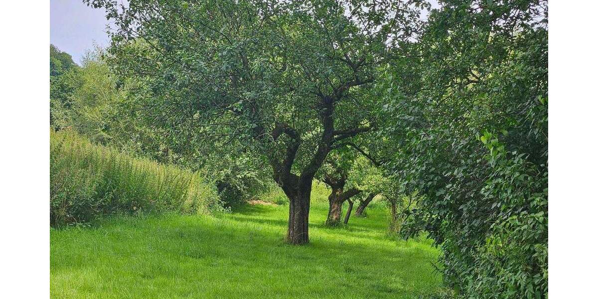 Mehrfamilienhaus, Wohnhaus Oerlinghausen Währentrup - 1 Zimmer, 203 m&sup2;, 399.000&euro; | Angebot:25669148