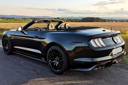 Ford Mustang 24.800 km 46.500 € Kalletal 32689