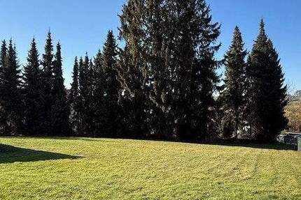 Mitten drin mit besten Aussichten! zimmer