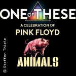 One Of These - A Celebration of Pink Floyd