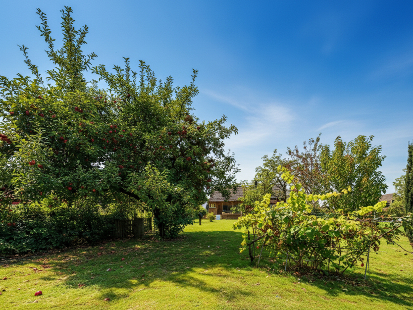 Mit 3D: Endlich Zuhause! Großzügige Familienidylle - riesen Gartenparadies mit zahlreichen Obstbäumen. 9 zimmer