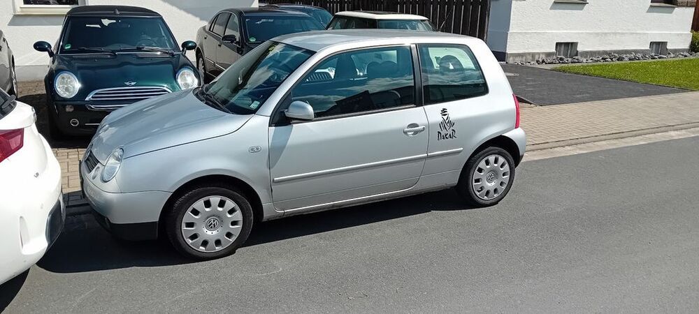 Lupo