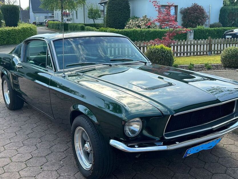 Mustang
