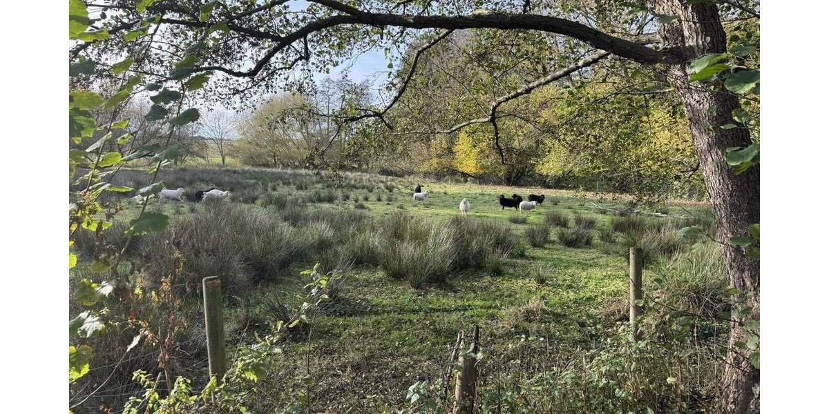 Fachwerkhaus mit zusätzlichem Werkstattgebäude in idyllischer-Naturlage... 8 zimmer