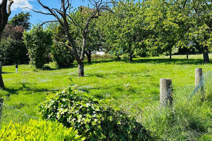 Grundstück Hüllhorst Oberbauerschaft - 80.000&euro; | Angebot:25693517