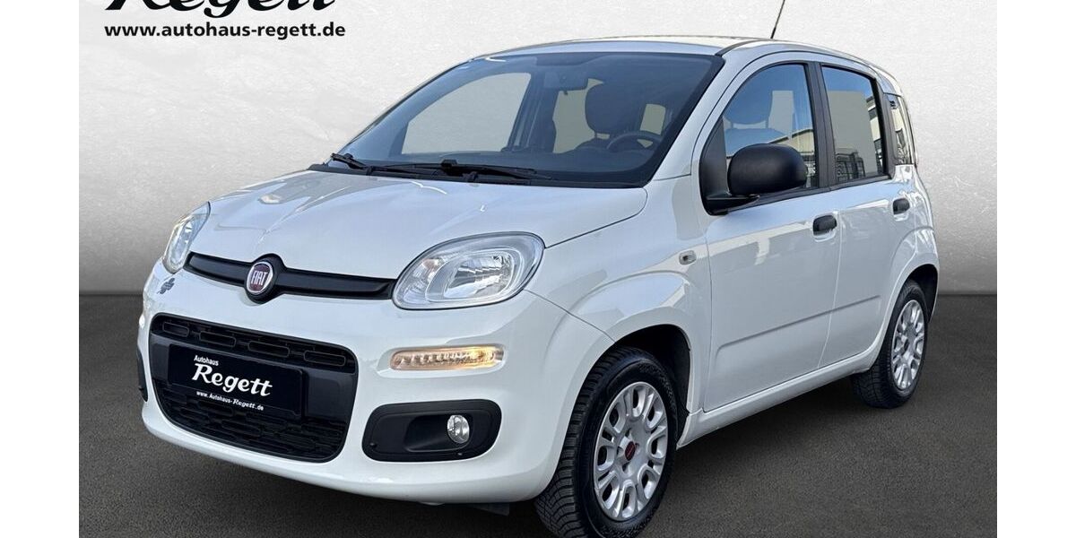 Fiat Panda 55.595 km 7.990 &euro; Delbrück-Westenholz 33129