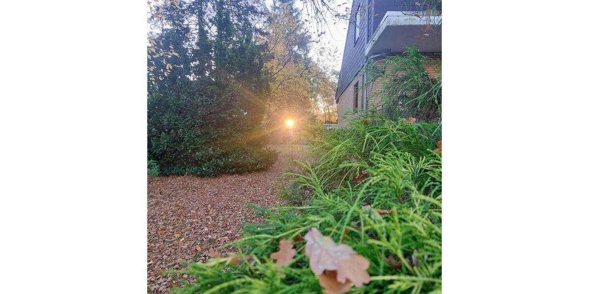 Reihenhaus Bielefeld Senne - 3 Zimmer, 90 m&sup2;, 245.000&euro; | Angebot:25641493