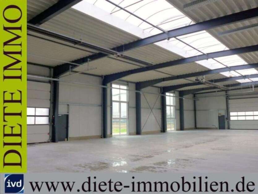 Halle in Schloß Holte 6.900 € 1150 m²