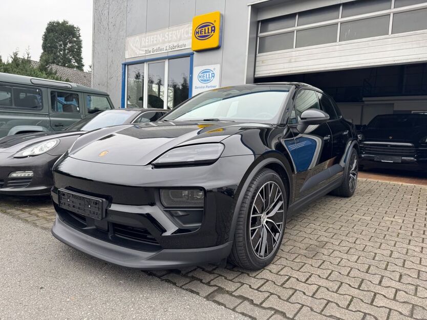 Macan