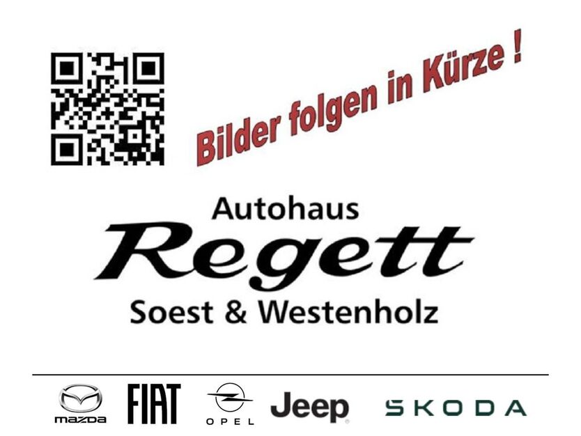 Skoda Scala 80.650 km 20.990 € Delbrück-Westenholz 33129