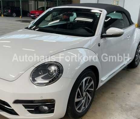 Beetle