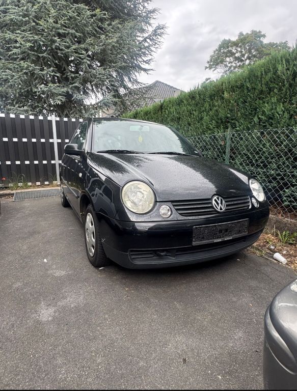 Lupo