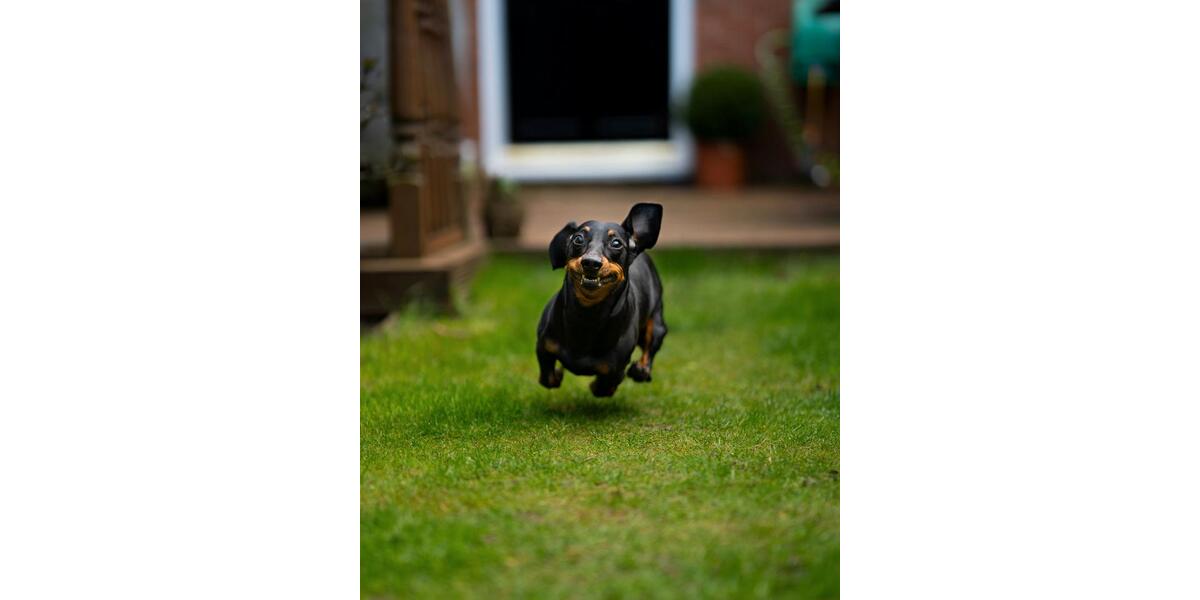 Einfamilienhaus Spenge - 5 Zimmer, 136 m&sup2;, 1.700&euro; | Angebot:24651807