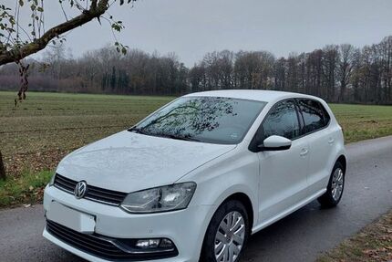 VW Polo 81.400 km 8.100 € Hövelhof 33161