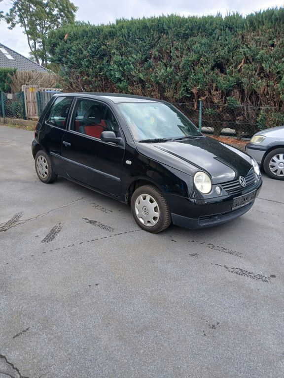 Lupo