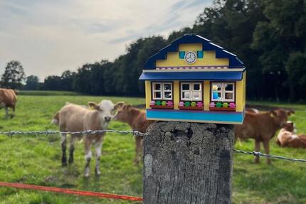 Landhaus Alleinlage Nähe Versmold
