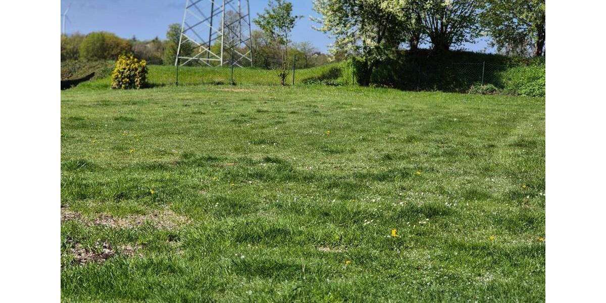Gewerbeobjekt Lemgo - 1.500&euro; | Angebot:26271997