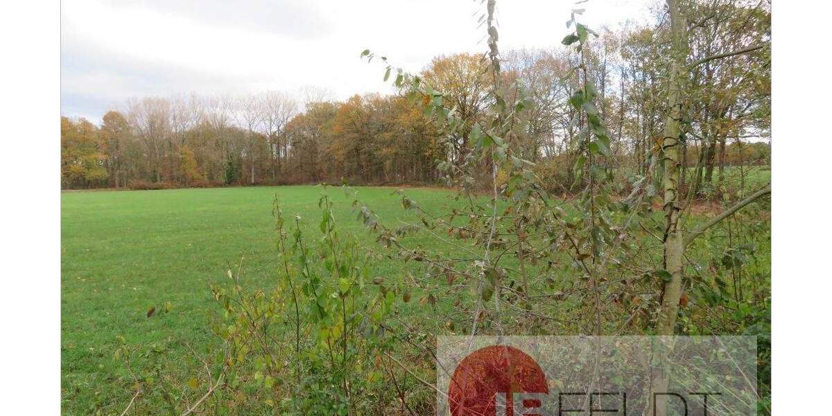 Mehrfamilienhaus, Wohnhaus Versmold Loxten - 1 Zimmer, 460 m&sup2;, 256.000&euro; | Angebot:25696090