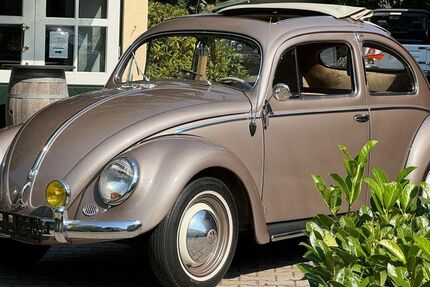 VW Käfer 32.000 km 57.900 € Gütersloh 33335