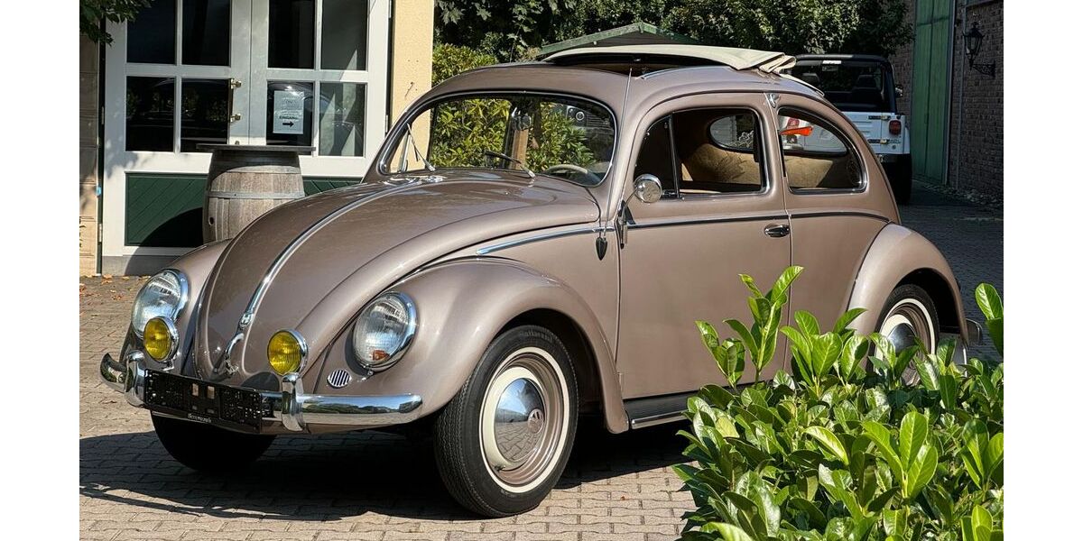 VW Käfer 32.000 km 57.900 &euro; Gütersloh 33335