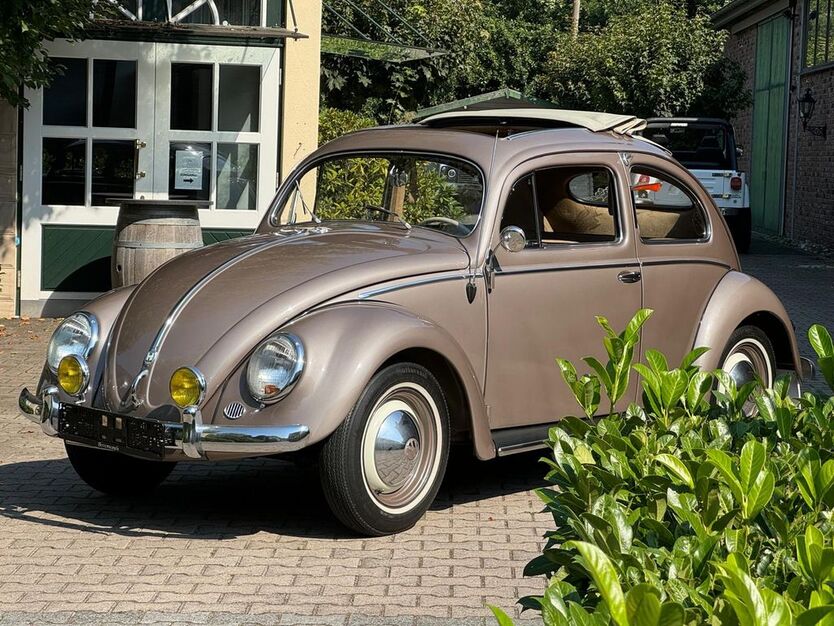 VW Käfer 32.000 km 57.900 € Gütersloh 33335