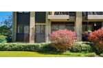 Nähe StadtparkKlinikum GT: Hochparterre mit Tiefgaragenstellplatz - bezugsfrei - für Käufer provisionsfrei - 2- Gütersloh Kattenstroth | Angebot:26992790