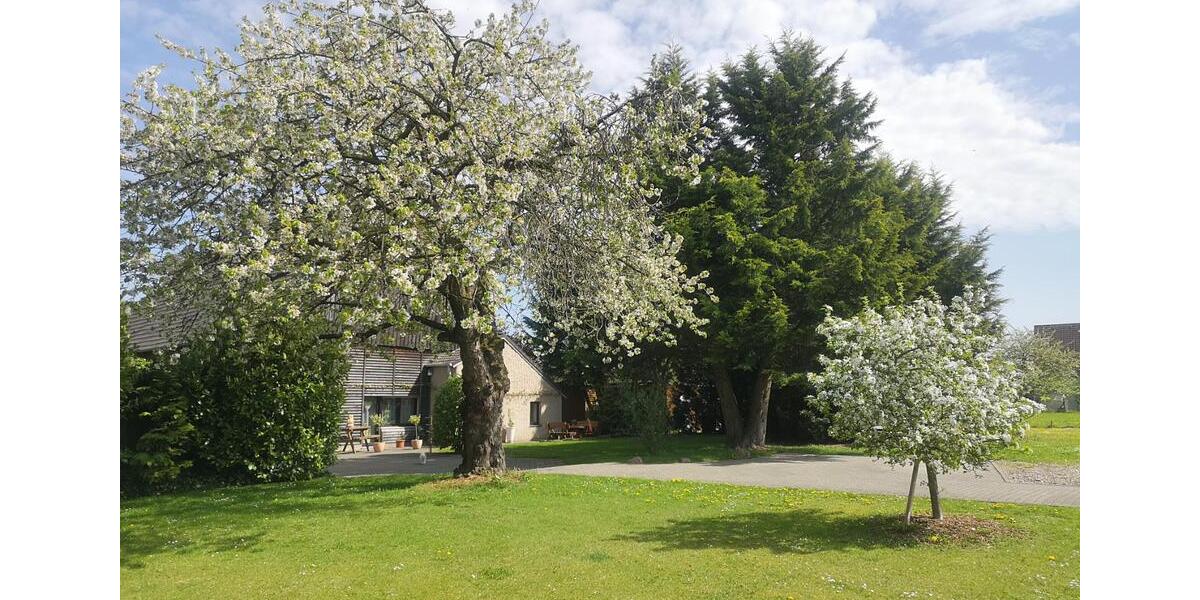 2 12 Familienhaus im Grünen zimmer