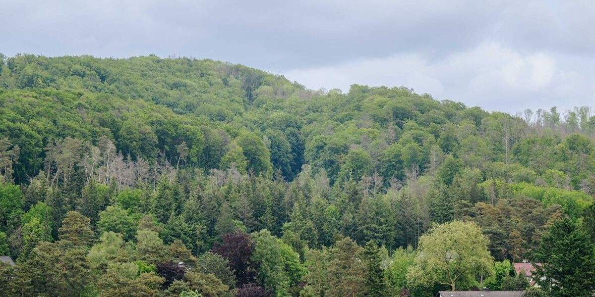 Etagenwohnung Bielefeld / Senne Senne - 2 Zimmer, 83 m&sup2;, 373.800&euro; | Angebot:25669077