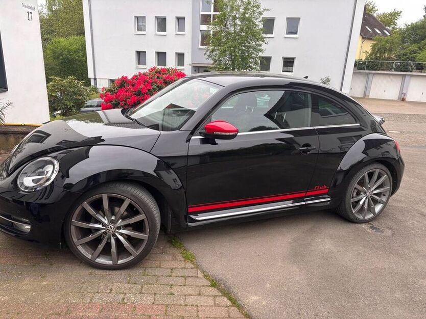 Beetle