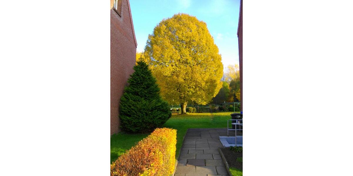 Erdgeschoßwohnung Bielefeld Schildesche - 2.5 Zimmer, 58 m&sup2;, 666&euro; | Angebot:26194892